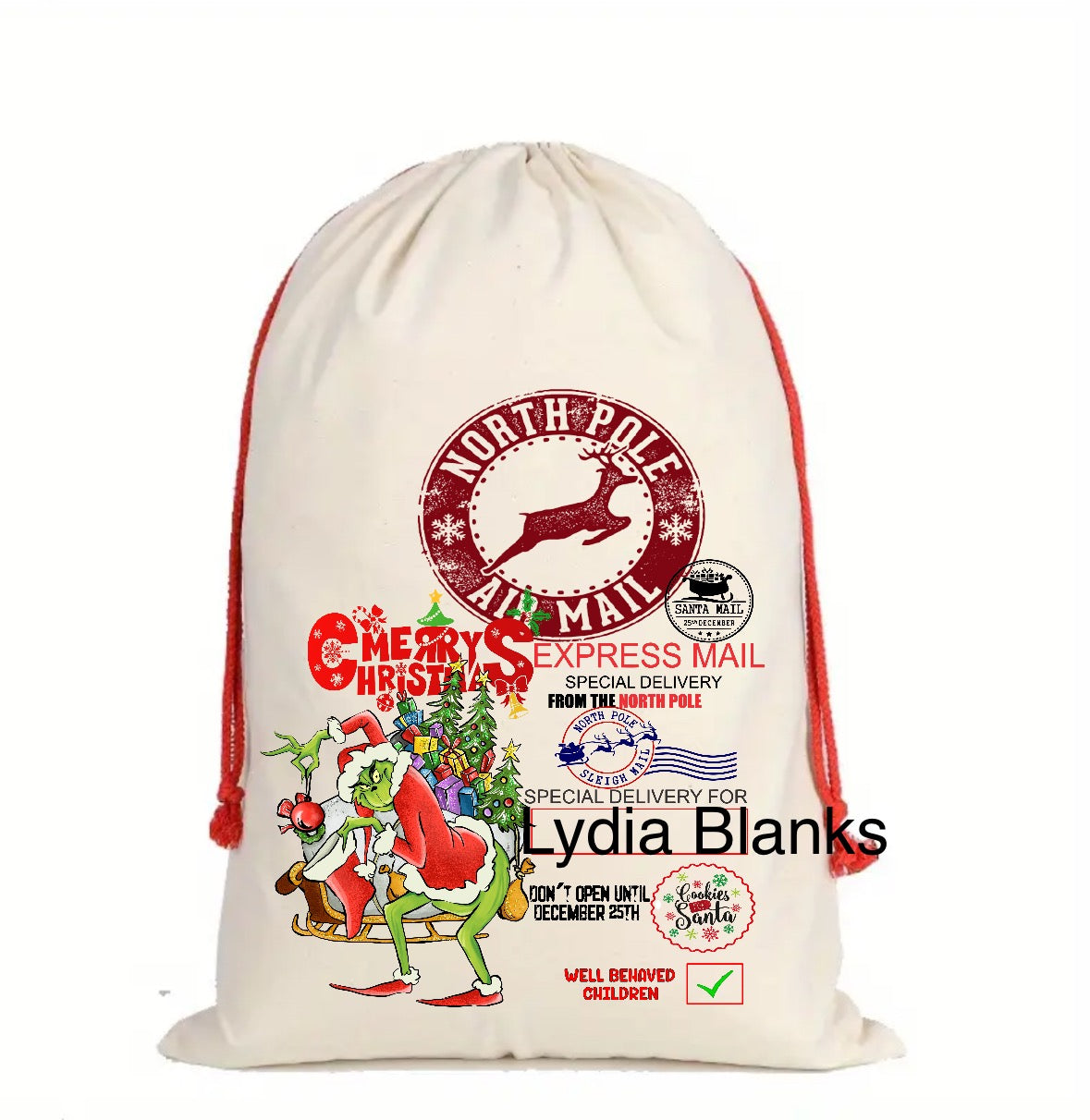 Character Christmas sack DTF