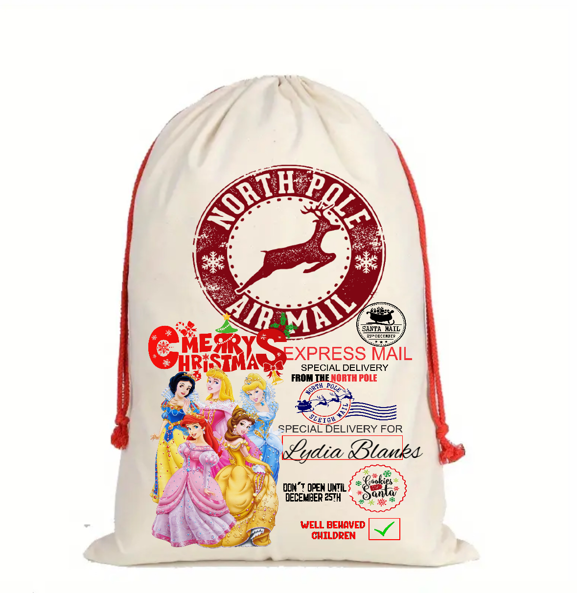 Character Christmas sack DTF